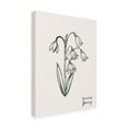 thumbnail image 2 of Grace Popp 'Annual Flowers I' Canvas Art, 2 of 3