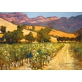 thumbnail image 2 of Craig, Philip 24x18 White Modern Wood Framed Museum Art Print Titled - Wine Country, 2 of 4