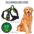 thumbnail image 2 of CSChome Harnais Lumineux pour Animaux Harnais Lumineux pour Animaux Rechargeable LED Éclairé - Sangle de Poitrine Lumineuse Réglable pour Promenade Nocturne, 2 of 7