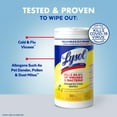 thumbnail image 6 of Lysol Disinfectant Wipes, Multi-Surface Antibacterial Cleaning Wipes, For Disinfecting and Cleaning, Lemon and Lime Blossom, 80 Count (Pack of 4), 6 of 9