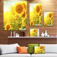 thumbnail image 2 of Designart - Bright Sunflowers Blooming on Field - Large Animal Canvas Art Print, 2 of 2