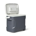 thumbnail image 3 of Igloo 28 quart Versatemp Electric Cooler, 26.5 liters, grey, 3 of 7