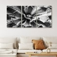 thumbnail image 1 of PixonSign Canvas Print Wall Art Set Blossoming Spiky Succulent Floral Wilderness Photography Realism Southwest Closeup Colorful Dark Black and White for Living Room, Bedroom, Office - 16"x24"x3, 1 of 4