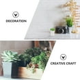 thumbnail image 6 of Toyvian Set of 12 White Plastic Flower Pots with Drainage Holes for Indoor and Outdoor Planting, 6 of 6