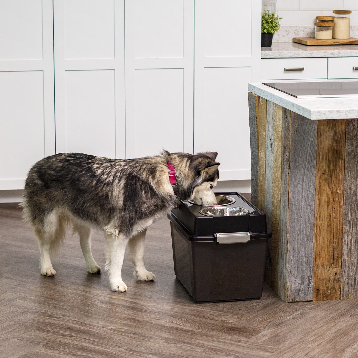 IRIS USA 47 Lbs./45 Qt (15"H) Large Elevated Feeder with Airtight Pet Food Storage Container, Dry Food Bin with Removable Dog Bowls in Lid, At Home or Camping Pet Food Container, Smoke/Black