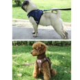thumbnail image 1 of Soft Mesh Walk Vest Safety Strap for Small Pet Puppy Dog Control Harness Leash, 1 of 5
