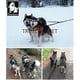 thumbnail image 5 of Truelove Nylon Double Dog Leash For Two Dogs Coupler No Tangle Pet Leash For, 5 of 5