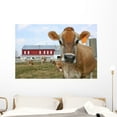 thumbnail image 1 of Jersey Cow Pasture Wall Mural by Wallmonkeys Peel and Stick Graphic (48 in W x 32 in H) WM241011, 1 of 4