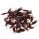 thumbnail image 2 of 100pcs Halloween Party Prank Cockroach Props Artificial Realistic Cockroach Models Trick Toys, 2 of 2