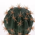 thumbnail image 3 of Planta Adorno para el hogar jinwen Decoración del hábitat del Acuario Peces Terrario Adorno de acuario, 3 of 7