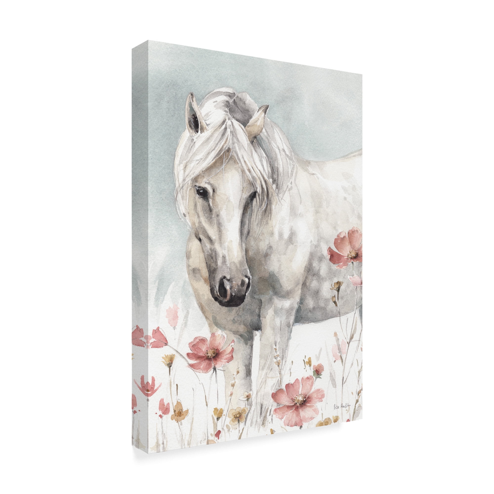 Trademark Fine Art 'Wild Horses II Crop' Canvas Art by Lisa Audit