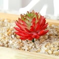 thumbnail image 3 of Mini Artificial Succulents Simulation Plant Bonsai for Desktop Home Garden Decor, 3 of 4