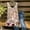 Khaki, variant on jsaierl Summer Women Sexy Tank Tops Floral Print Sleeveless Casual Vest Chiffon O-Neck Loose Camisole Comfy Tunic Blouse