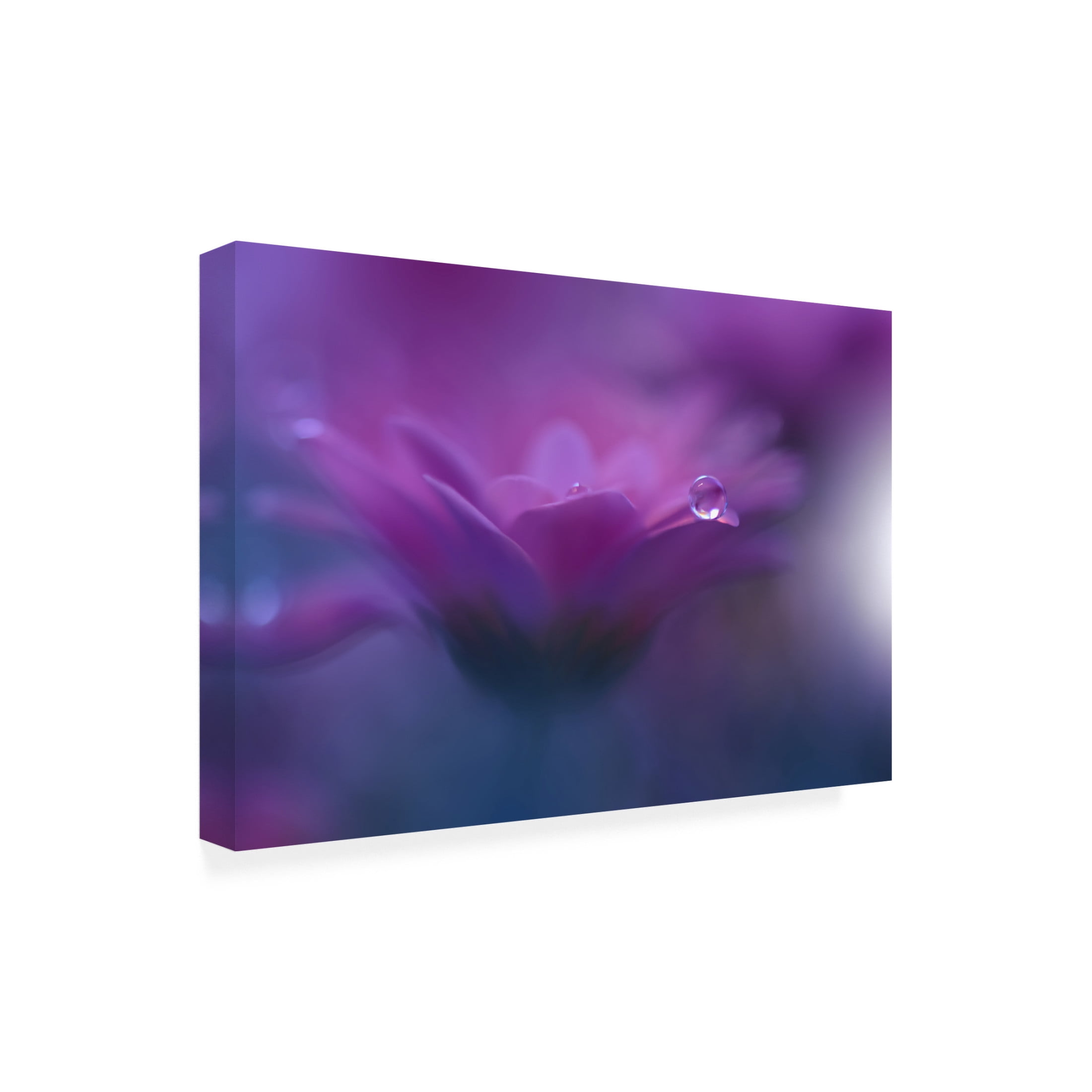 Trademark Fine Art Juliana Nan Without Form, Without Limitii Canvas Wall Art