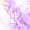 Golden Purple 11, variant on Manfei Purple Bow Twin Quilt Set,Girls Personalized Letter A Twin Coverlet Set,2 Pieces