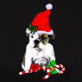 thumbnail image 3 of CafePress - English Bulldog Christmas T Shirt - Women's Traditional Fit Dark T-Shirt, 3 of 4