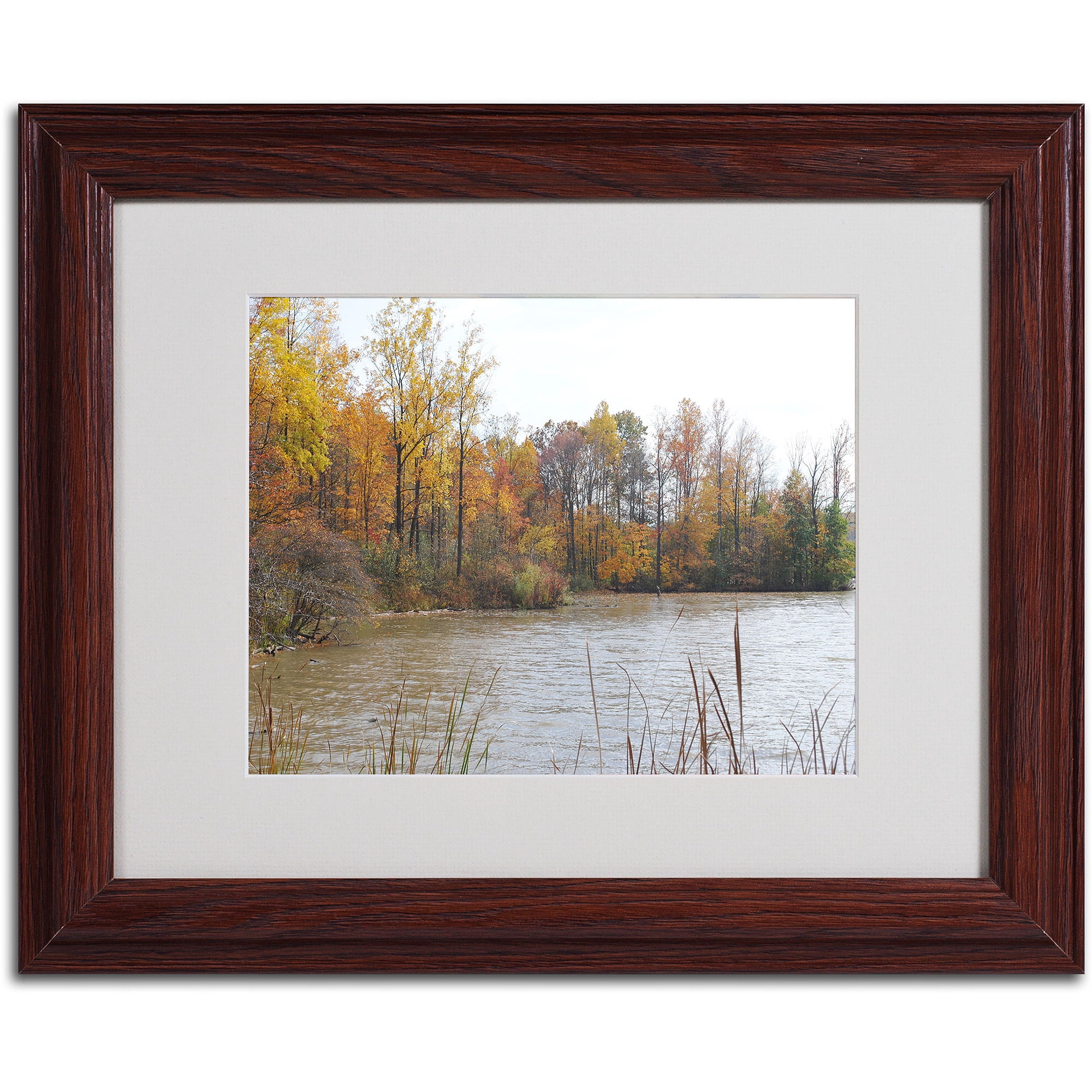 Trademark Fine Art "Just a Wonder" by Monica Fleet, Wood Frame