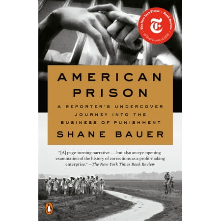 American Prison - eBook (Best Prisons In America)