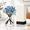 Cashmere Vanilla, variant on Flower Reed Diffuser Set Series Moss & Sea Salt Scent For Bathroom Accessories Shdecor Air Fresheners Sticks Defusers With 5.1 Fl