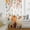 Orange, variant on Thanksgiving Pumpkin Sheer Curtains 63 Inch Length, Light Filtering Voile Curtain Panel, Fall Harvest Maple Leaf Flowers Orange Rod Pocket Drapes Window Treatments for Living Room Bedroom 52"x63"