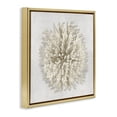 thumbnail image 2 of Stupell Industries Coastal Natural Round Coral Gold Floating Frame Canvas Art, 25 x 25, by Caroline Kelly, 2 of 7