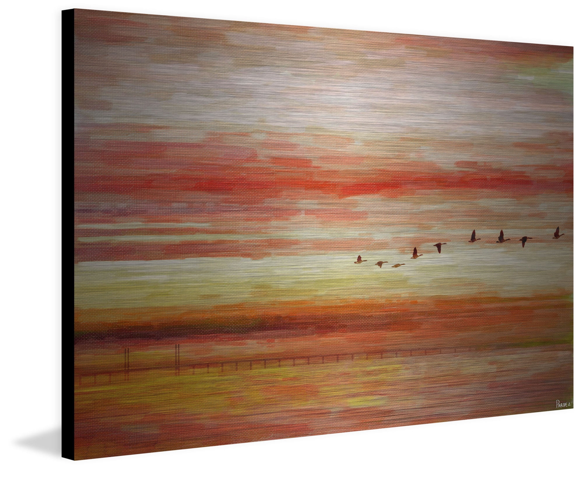 Parvez Taj Flying South Art Print on Brushed Aluminum