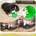 thumbnail image 3 of Cepillo de dentición para perros Pamlulu Cactus Rubber Squeaky, 3 of 5