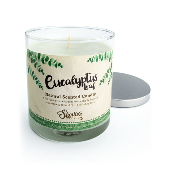 Eucalyptus Leaf Scented Natural Soy Candle, Essential Fragrance Oils, 100% Soy, Phthalate & Paraben Free, Clean Burning, 9 Oz.