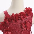 thumbnail image 3 of IDOPIP Infant Baby Flower Girl Dress Asymmetric Shoulder 3D Flowers Toddler Wedding Formal Birthday Party Pageant Tiered Tulle Gowns Tutu Dresses 9-12 Months Red, 3 of 8