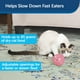 thumbnail image 2 of Dispensador de comida para gatos PetSafe SlimCat rosa para todas las razas, 2 of 7