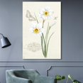 thumbnail image 2 of wall26 - Canvas Wall Art - Retro Style Narcissus Flower on Vintage Background - Giclee Print Gallery Wrap Modern Home Art Ready to Hang - 16x24 inches, 2 of 4