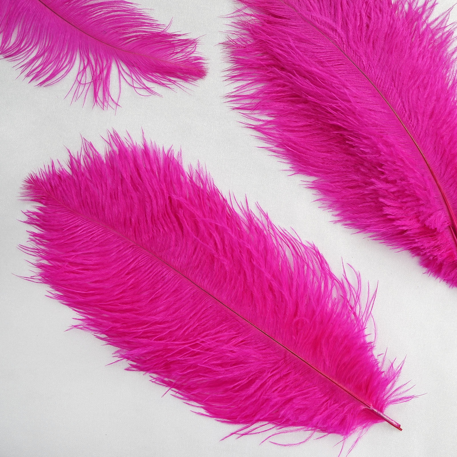 tall ostrich feathers