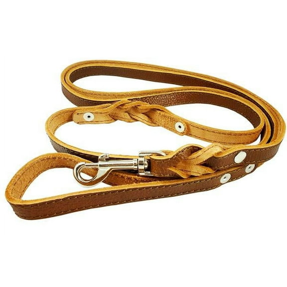 8' Genuine Leather Braided Dog Leash Brown 3/4" Wide