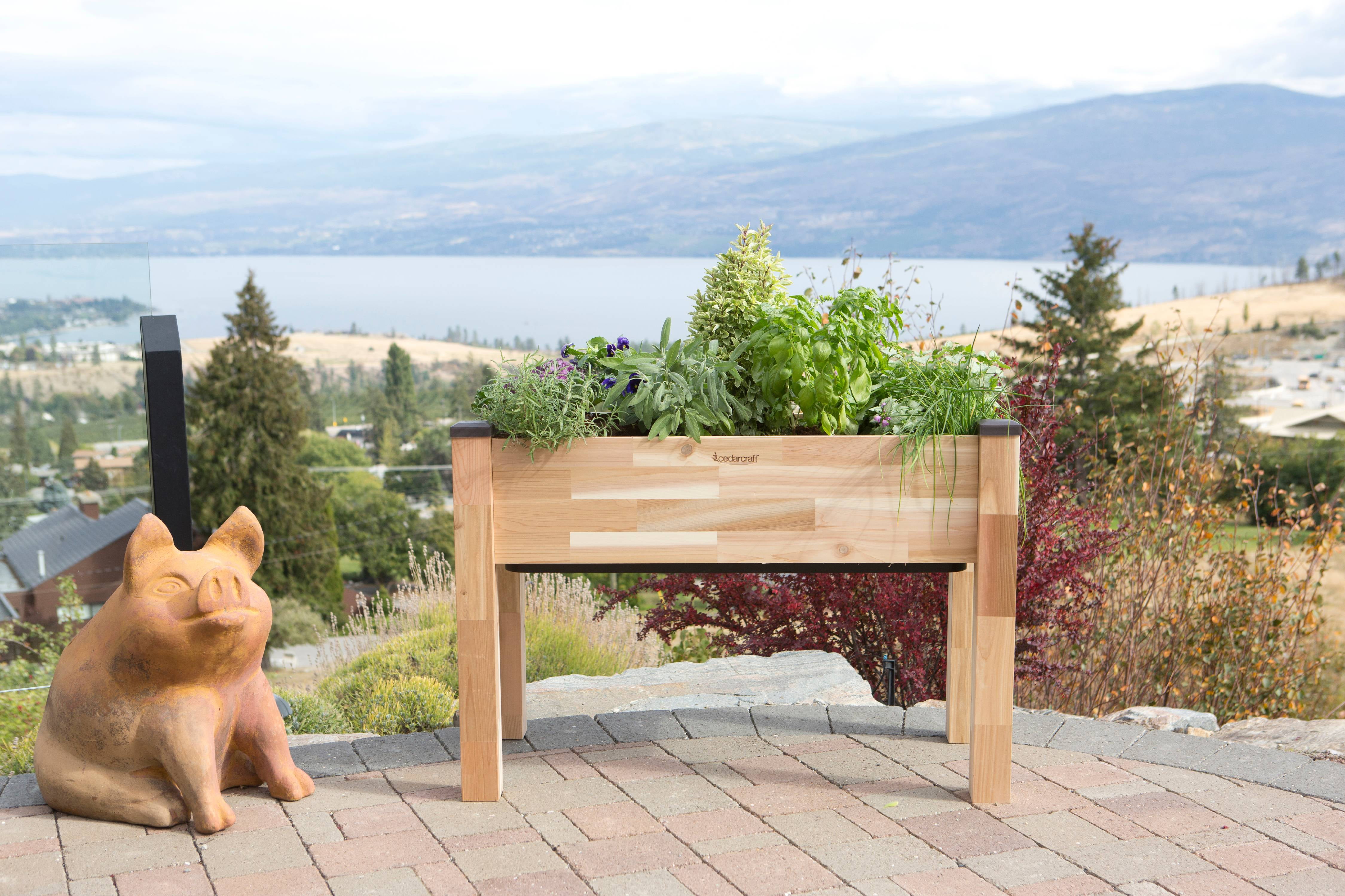 CedarCraft Self-Watering Elevated Cedar Elevated Planter 23x49x30"H