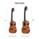 thumbnail image 3 of LINGTING Ukelele de concierto de 26 pulgadas Ukelele Tablero de madera de caoba Tableros traseros y LINGTING Ukelele, 3 of 7