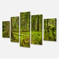 thumbnail image 2 of Lush Rainforest in Cathedral Grove - Landscape Canvas Art Print, 2 of 3