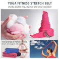 thumbnail image 5 of Essential Pilates Set For Ladies Including Resistance Bands Pilates Rings And Ball For Enhanced Home Exercise, 5 of 5