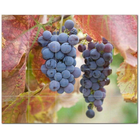 Wine Grapes Ceramic Tile Mural Kitchen Backsplash Bathroom Shower 406364-M54