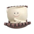 thumbnail image 4 of Plantilla colgante Organizador de macetas de maceta pequeña Cartoon Smile Flower Poten de maceta para la ventana de la ventana del estante interior y Estilo G, 4 of 8
