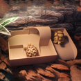 thumbnail image 5 of Mosey Multi-use Turtle Terrace Creative   for Fish Tank   Playing and Feeding, 5 of 7