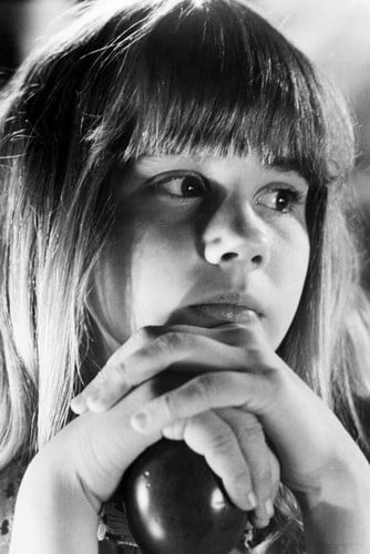 linda evaporative cooler