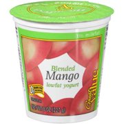 Great Value Blended Mango Yogurt, 8 Oz.