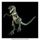 thumbnail image 2 of Dinosaurio de Juguete MATTEL Jurassic World Hammond Collection Velociraptor Blue, 2 of 4