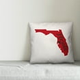 thumbnail image 4 of Creative Products Red and Black Florida Pride 16x16 Spun Poly Pillow, 4 of 4