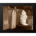 thumbnail image 2 of Larson, Scott 18x15 Black Modern Framed Museum Art Print Titled - Special Delivery II, 2 of 5