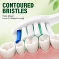 thumbnail image 4 of SPEQUIX Replacement Toothbrush Heads Compatible with Philips Sonicare Click-On Handles, Electric Toothbrush Replacement Heads Soft Bristles for Plaque Control, 8 Pack, 4 of 8