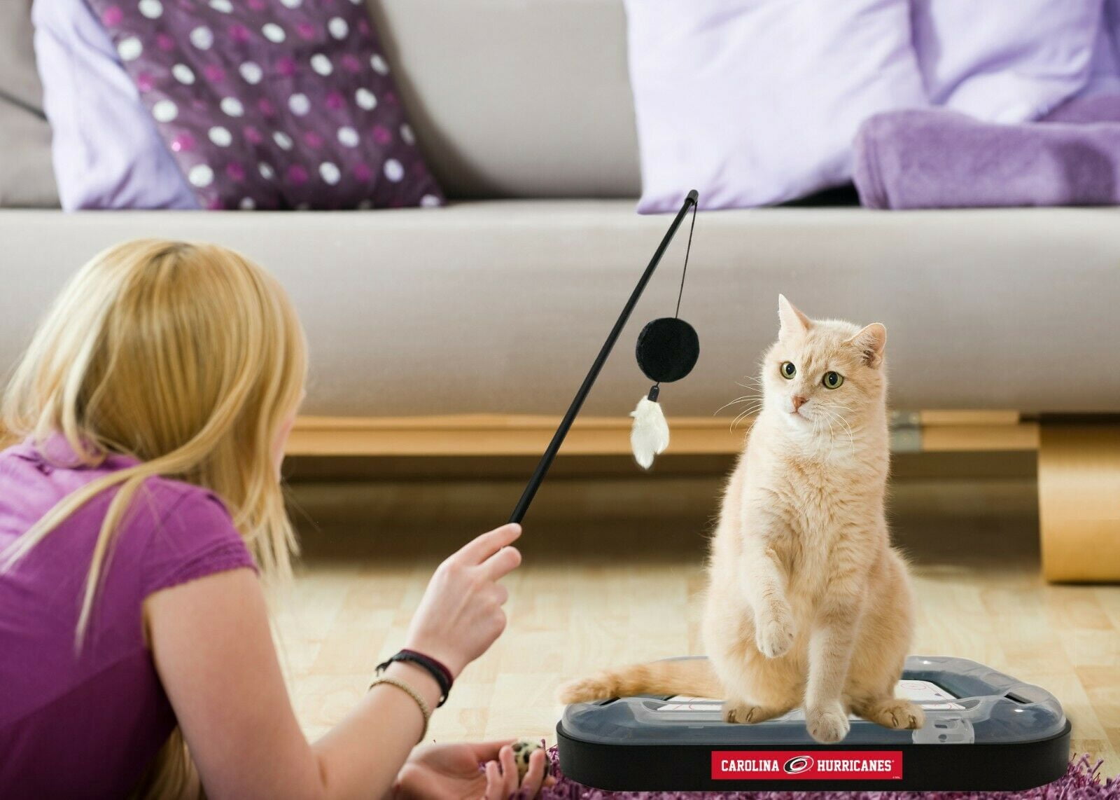 NHL Carolina Hurricanes CAT Scratcher Toy with Catnip Plush & Feather Cat Toy 5-in-1 Kitty Toy