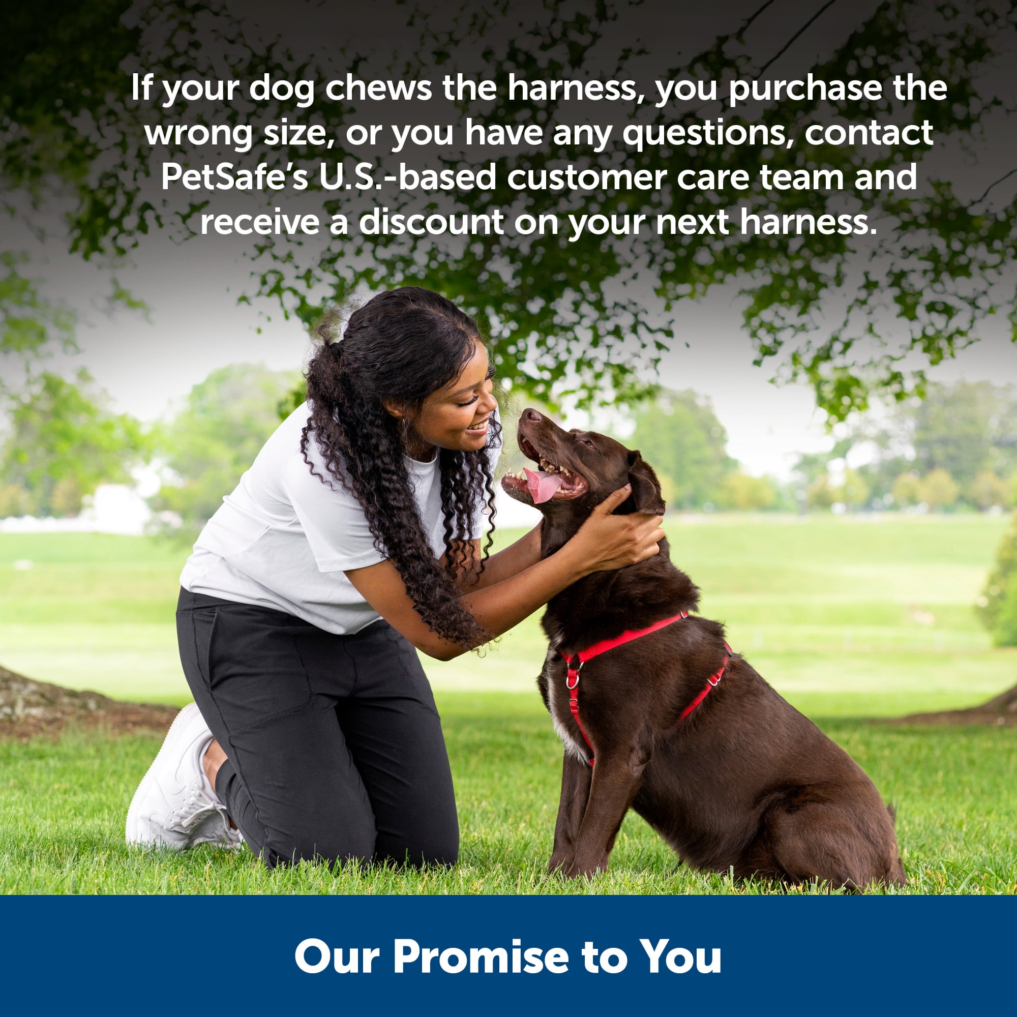Petsafe hotsell surefit harness