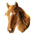 thumbnail image 3 of MasterPieces 100 Piece Jigsaw Puzzle - Horse - 10.3"x12.65", 3 of 4