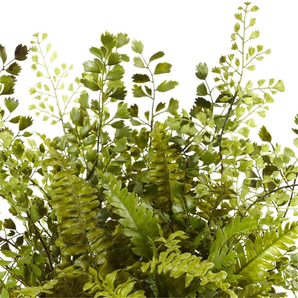 Pemberly Row Mixed Fern with Twig and Moss Basket in Green/Brown